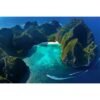 Tour por islas Phi Phi - Image 4